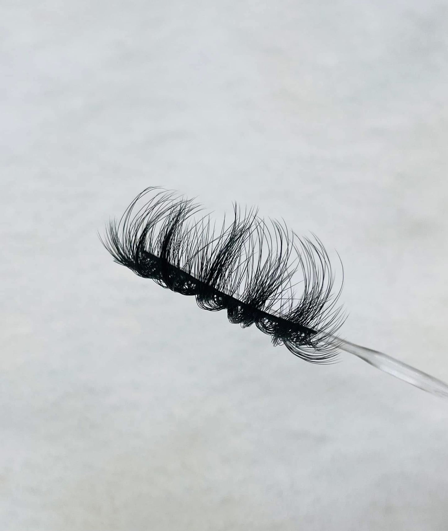 Jayda Lash